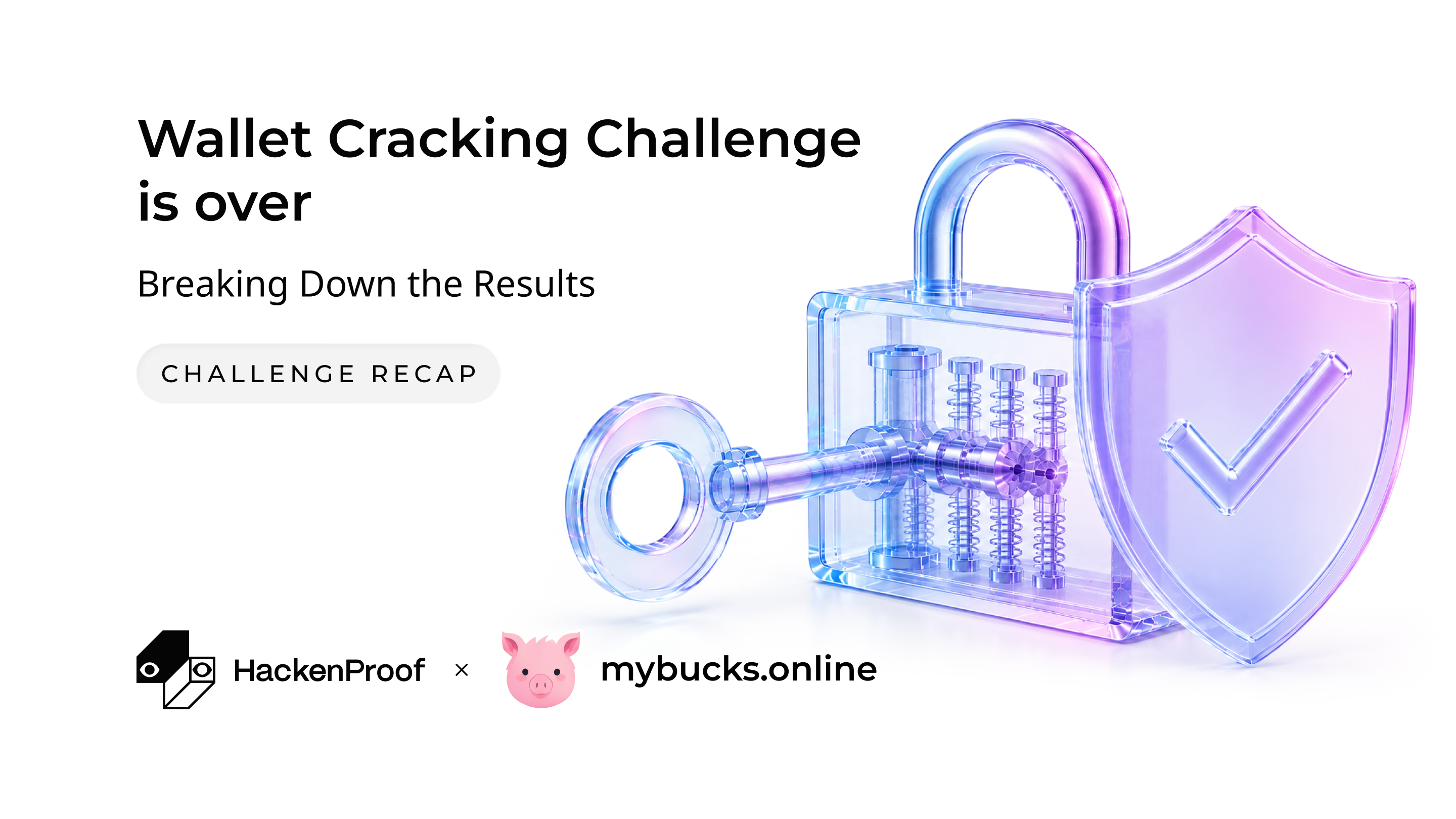 Mybucks.online Wallet Cracking Challenge Recap: Inside the 30-Day Security Challenge