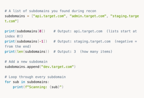 From Zero Python to Building AI Agents That Hunt Bugs For You