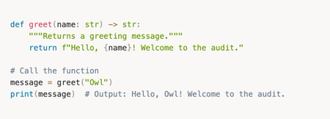 From Zero Python to Building AI Agents That Hunt Bugs For You