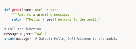 From Zero Python to Building AI Agents That Hunt Bugs For You