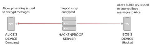 Introducing End-to-End Reports Encryption at HackenProof