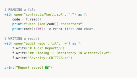 From Zero Python to Building AI Agents That Hunt Bugs For You
