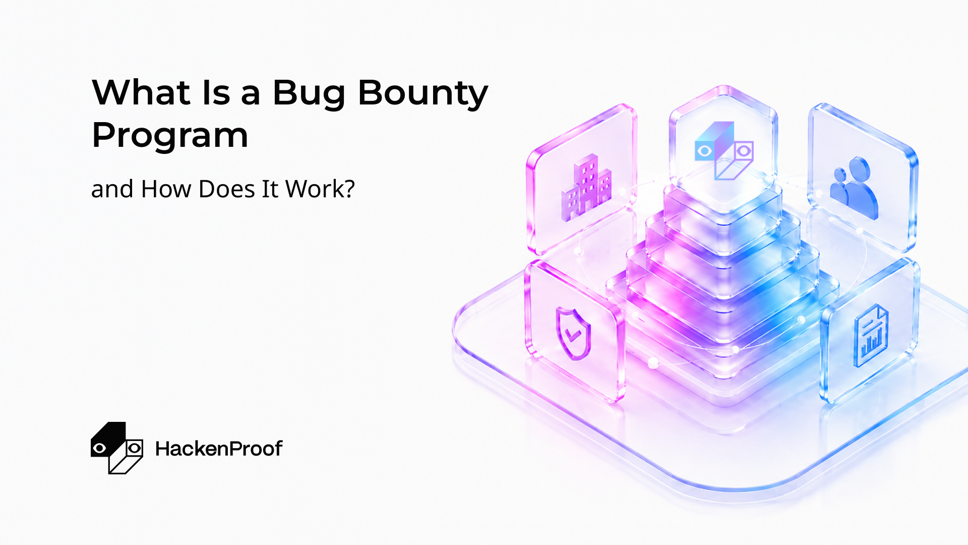 What Is a Bug Bounty Program and How Does It Work? 