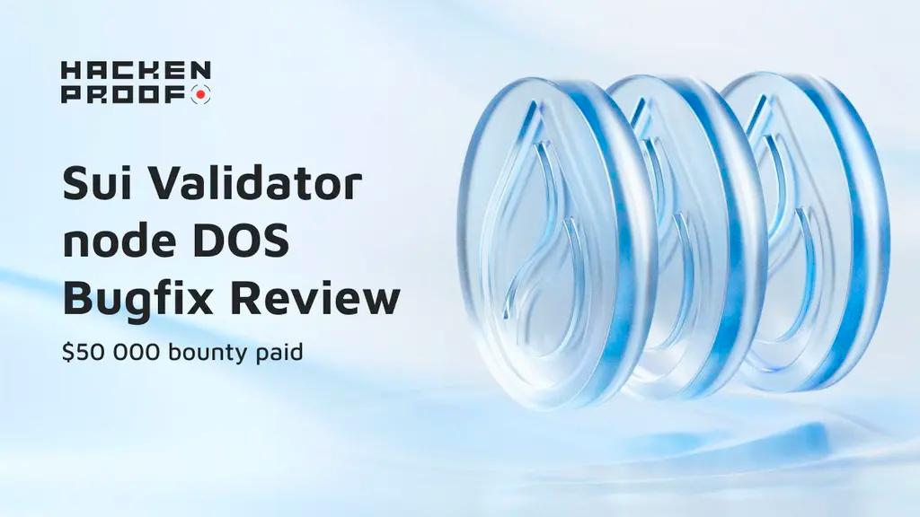Sui Validator node DOS Bugfix Review