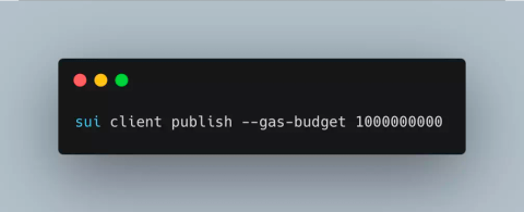 Sui Validator node DOS Bugfix Review