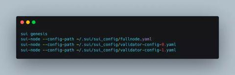 Sui Validator node DOS Bugfix Review