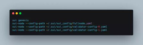 Sui Validator node DOS Bugfix Review