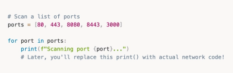 From Zero Python to Building AI Agents That Hunt Bugs For You