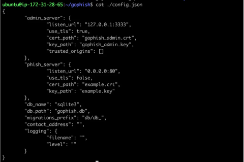 How to launch a phishing attack using Gophish