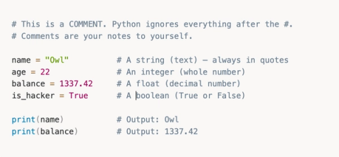 From Zero Python to Building AI Agents That Hunt Bugs For You