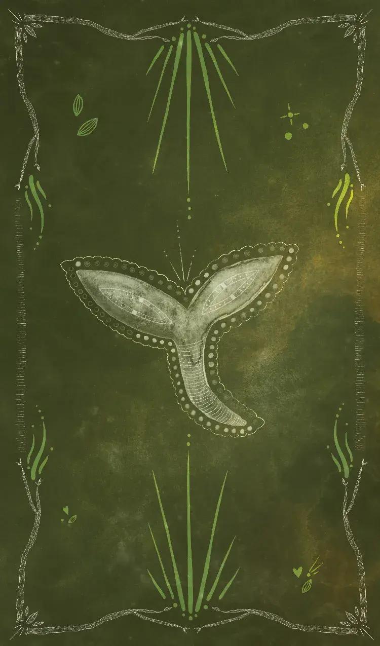 seedling card front side