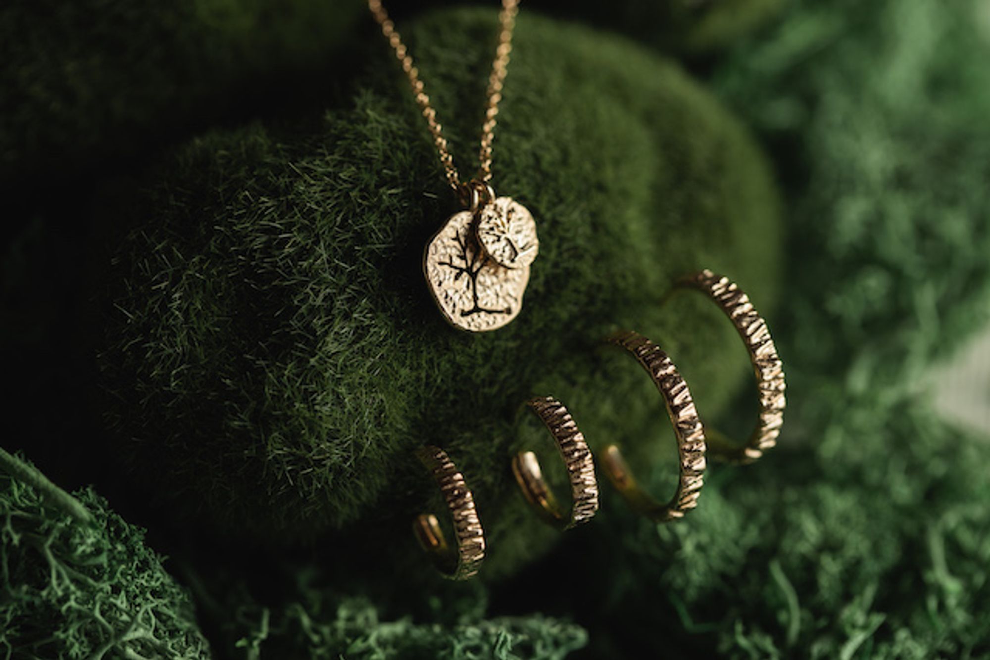 tree of life collection