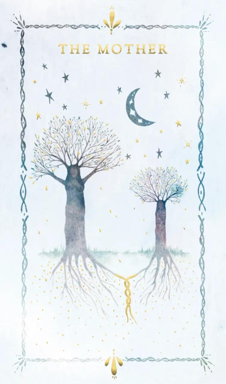 mother  card front side