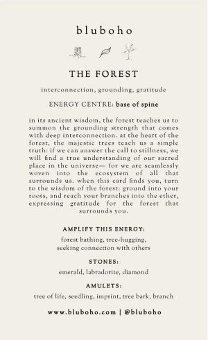 tree of life cardback side