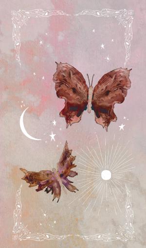 butterfly card front side