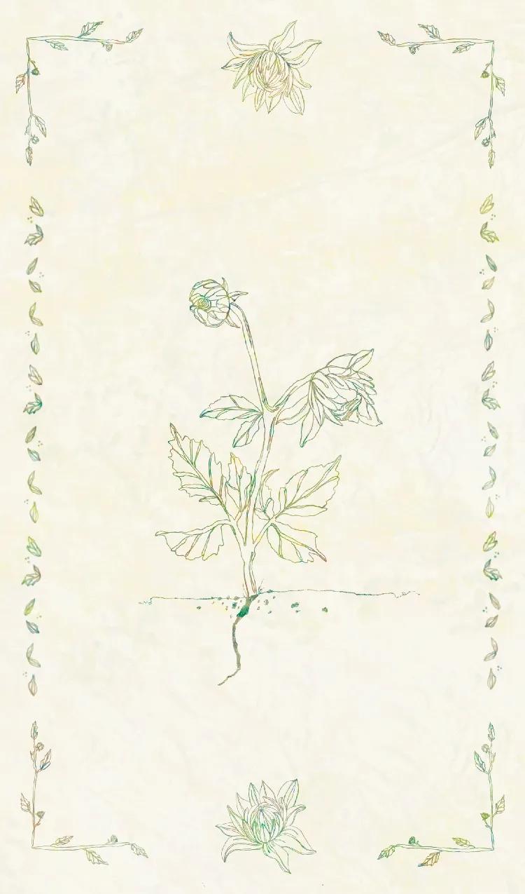 wildflower card front side