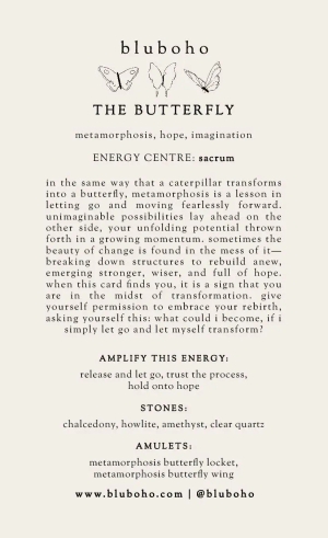 butterfly cardback side