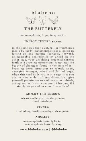 butterfly cardback side