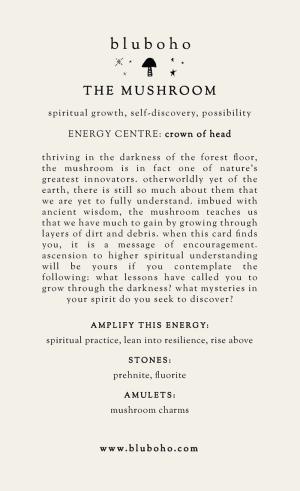 mushroom cardback side