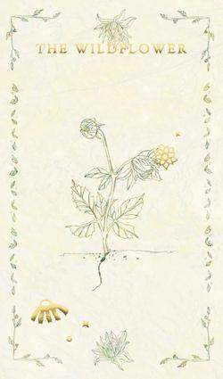 wildflower