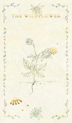 wildflower