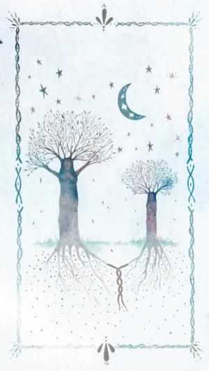 mother  card front side