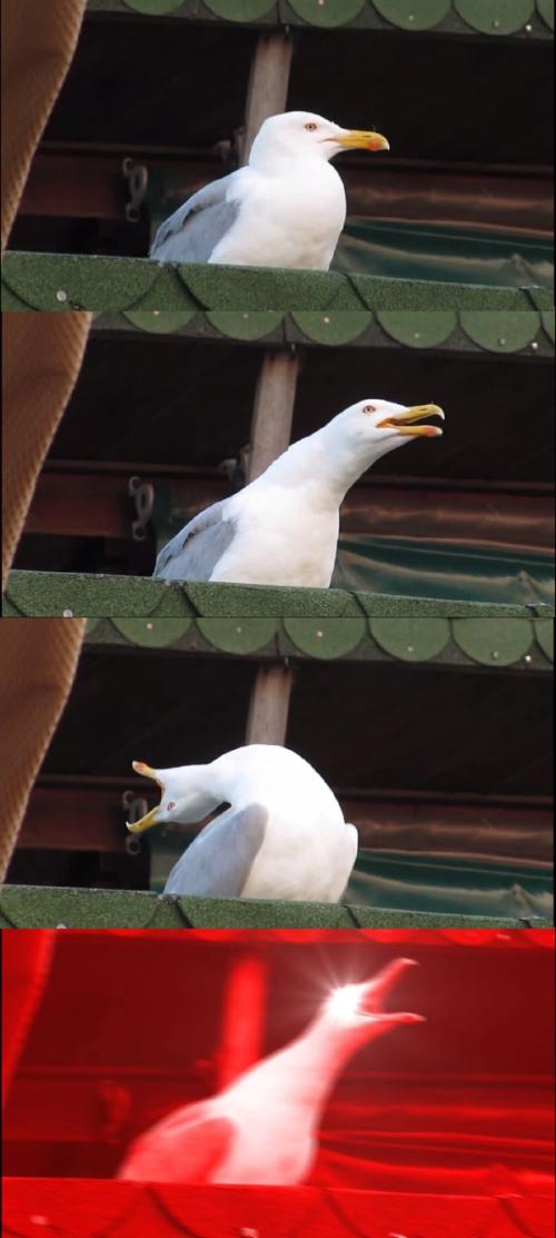 weekly-templates-Inhaling Seagull