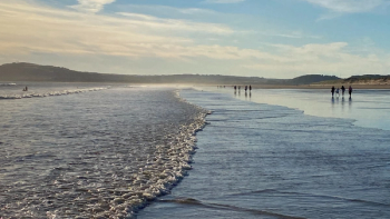 Thumbnail of Neath Port Talbot