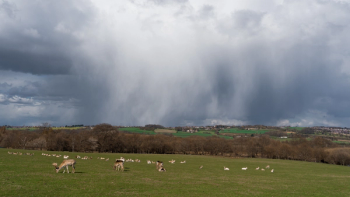Thumbnail of Rotherham
