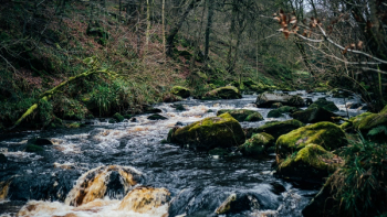 Thumbnail of Calderdale