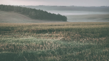 Thumbnail of Clackmannanshire