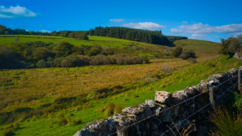 Thumbnail of Huntingdonshire