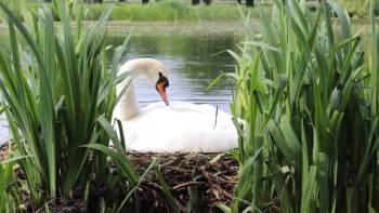 Thumbnail of Kingston upon Thames