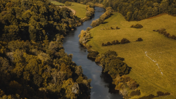 Thumbnail of Forest of Dean