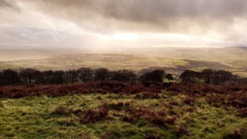 Thumbnail of Taunton and Wellington