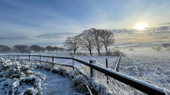 Thumbnail of Falkirk