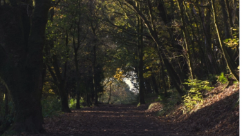 Thumbnail of East Dunbartonshire