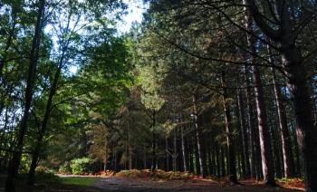 Thumbnail of Wakefield