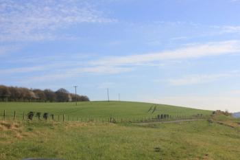 Thumbnail of Mid Suffolk