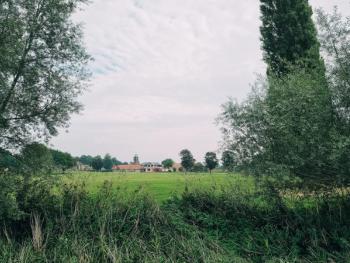 Thumbnail of Breckland