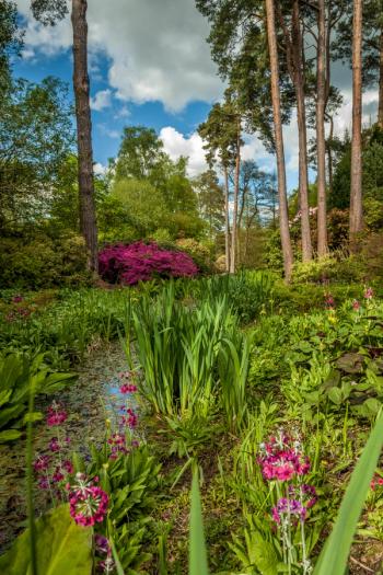 Thumbnail of Crawley