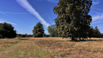 Thumbnail of Epsom and Ewell