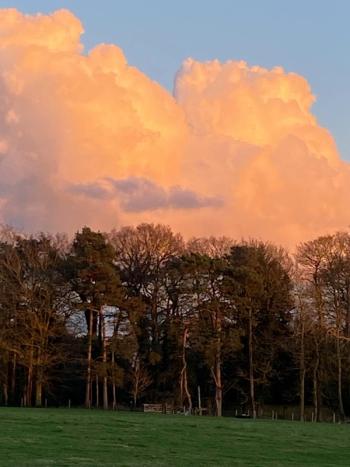 Thumbnail of North Norfolk