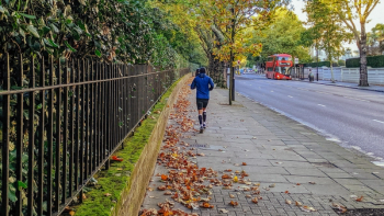 Thumbnail of Westminster