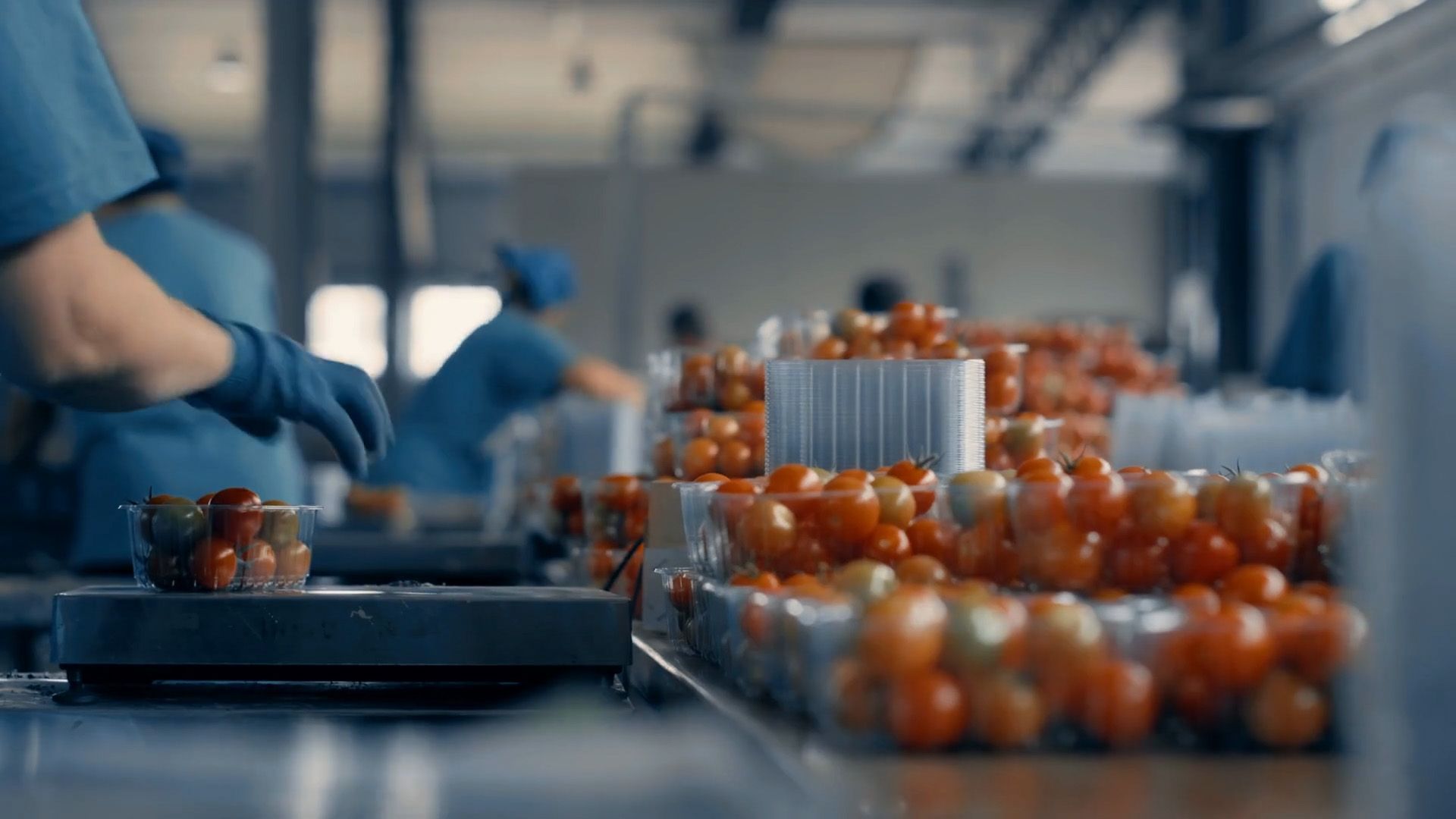 Video preview "Productie Warehousing Branche Teaser"