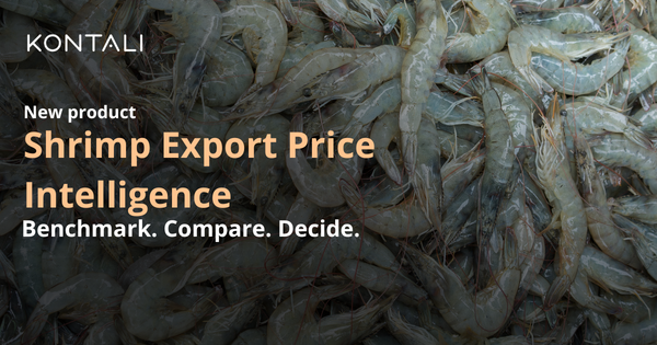 Kontali edge shrimp