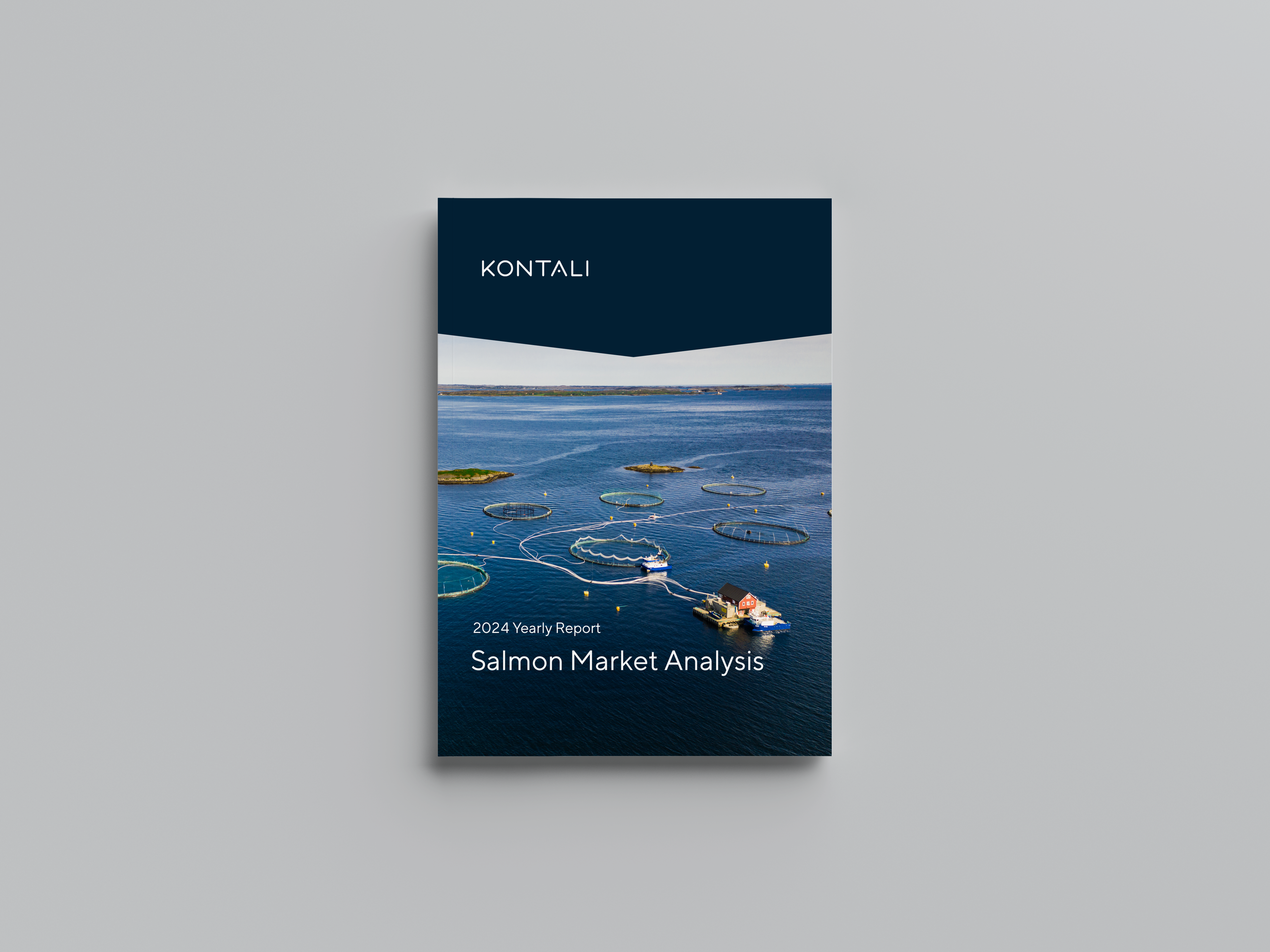 Salmon Market Analysis 2025