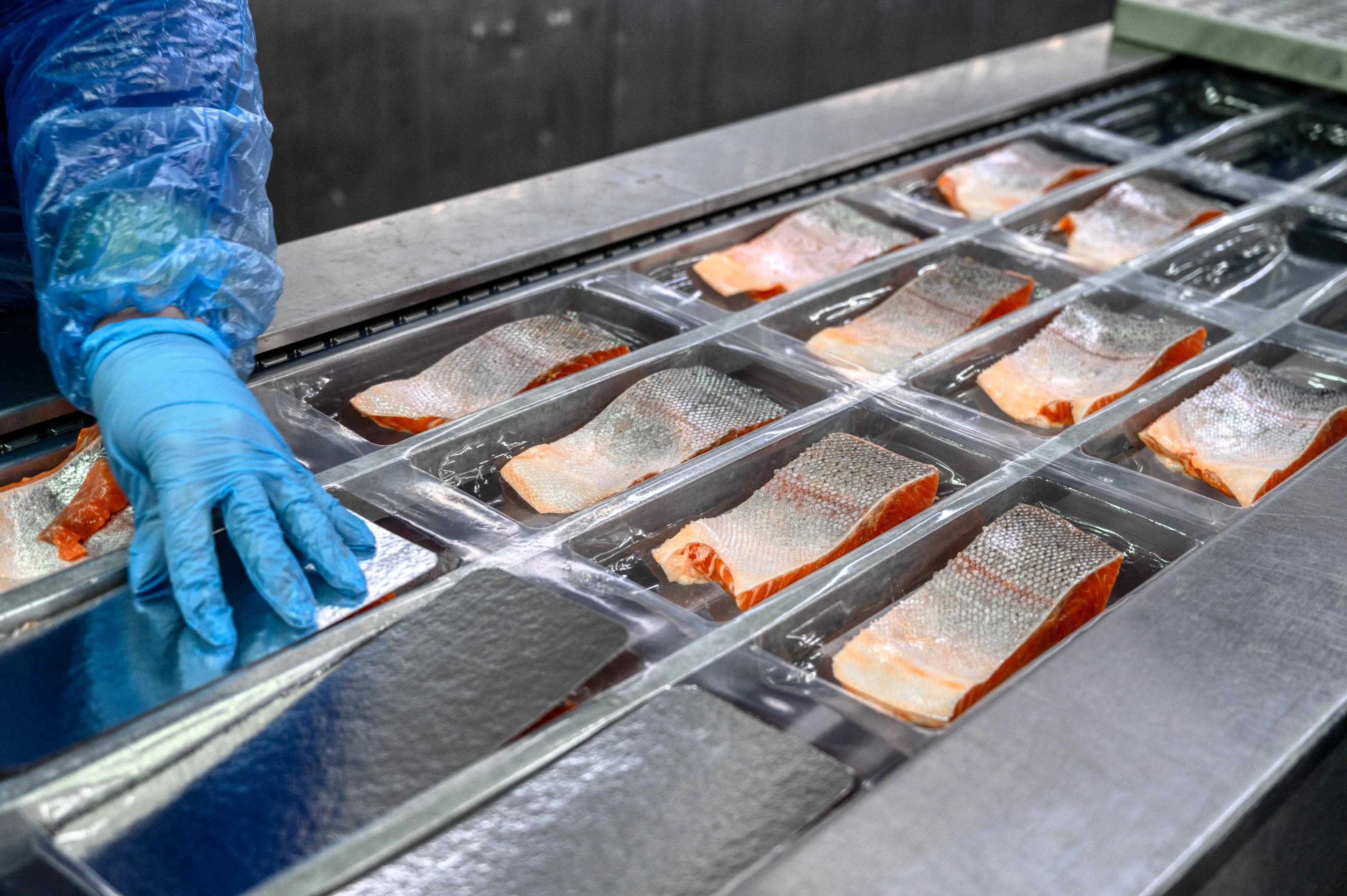 Photo of salmon processing by Nordroden
