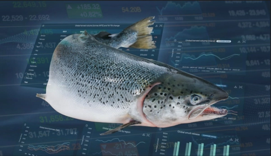 Atlantic Salmon with Kontali Edge data in the background
