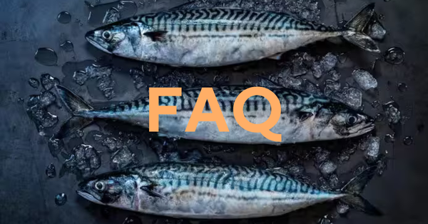 Kontali Edge Pelagic FAQ